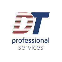 DT Professional Services Company Logo