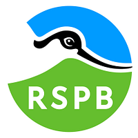 RSPB Company Logo