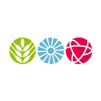 Ingenium Logo