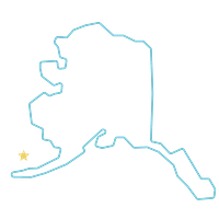 Tanaq Management Services LLC Company Logo