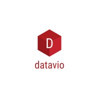 Datavio.ai Logo