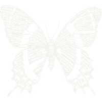 Houston Museum of Natural Science Company Logo